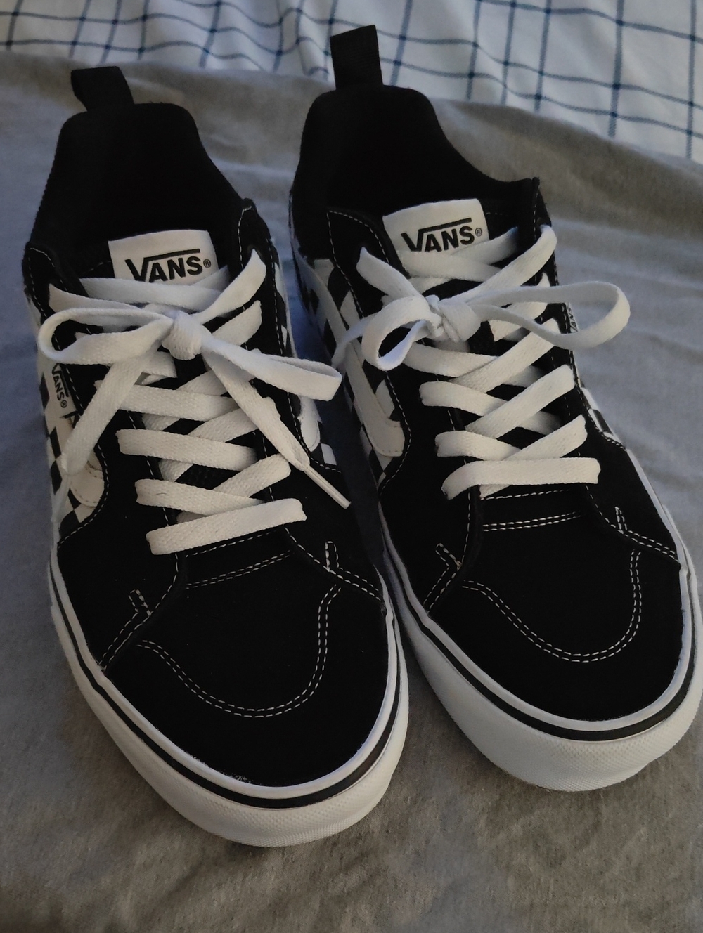 Vans Black and White Low-Top Skate Sneakers